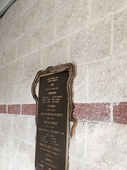 Pantherophis alleghaniensis