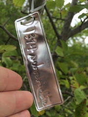 Crataegus suborbiculata