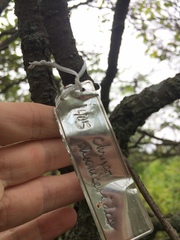 Crataegus chrysocarpa phoeniceoides