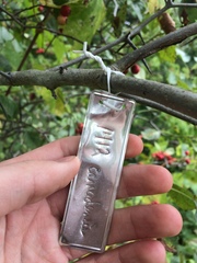 Crataegus canadensis