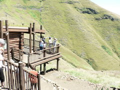 Merxmuellera macowanii