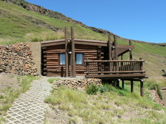 Cussonia paniculata sinuata