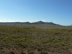 Pentzia globosa
