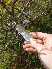 Crataegus suborbiculata