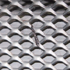 Empicoris rubromaculatus