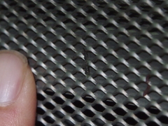 Empicoris rubromaculatus