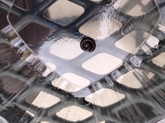 Leptogoniulus sorornus