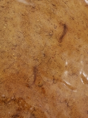 Melongena