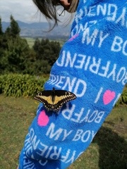 Papilio polyxenes americus