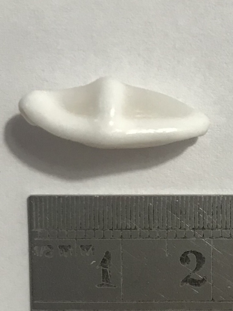 Photo of Signature Flamingo (Cyphoma signatum)