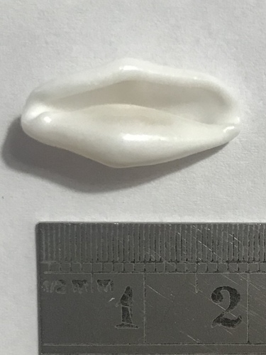 Photo of Signature Flamingo (Cyphoma signatum)