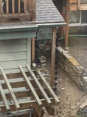 Pipilo maculatus oregonus