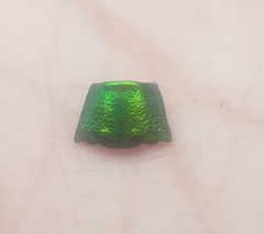 Chrysochroa fulminans