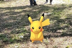 Epicratinus pikachu