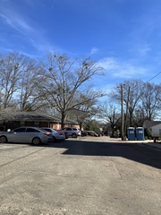 Phoradendron leucarpum