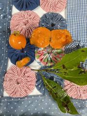 Campomanesia xanthocarpa