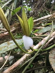 Okiscarta
