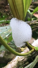 Okiscarta