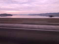 Sibirionetta formosa