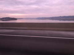 Sibirionetta formosa