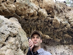 Eucladium verticillatum