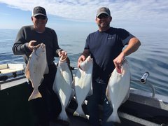 Hippoglossus stenolepis