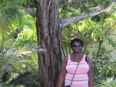 Juniperus bermudiana