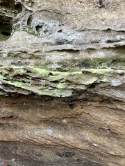 Botryolepraria lesdainii