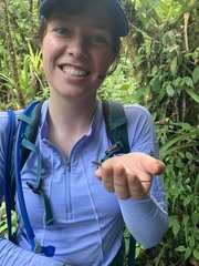 Potamites strangulatus