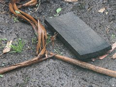 Engaeus hemicirratulus