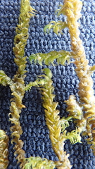 Warnstorfia fluitans