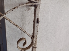 Pyralidae