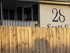 Rhipidura leucophrys