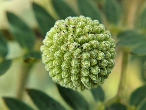 Foto 176399510, (c) Claire O'Neill, algunos derechos reservados (CC BY ...