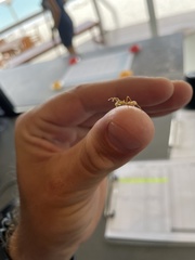 Myrmarachne smaragdina
