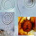 Helicomyces roseus - Photo (c) Jerry Cooper, algunos derechos reservados (CC BY), subido por Jerry Cooper