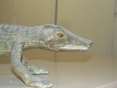 Animalia