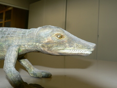 Animalia