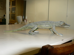 Animalia