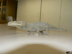 Reptilia