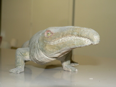 Reptilia