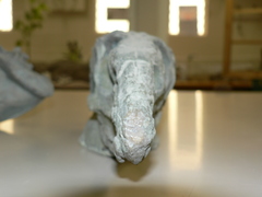 Reptilia
