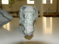 Reptilia