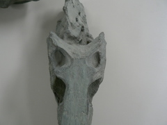 Reptilia