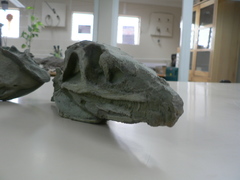 Reptilia