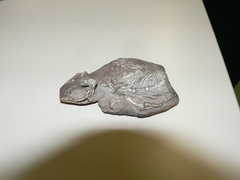 Reptilia