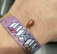 Alagoasa nigromaculata