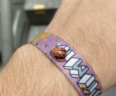 Alagoasa nigromaculata