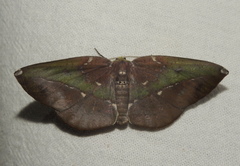 Omiza