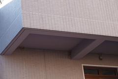 Hirundo rustica